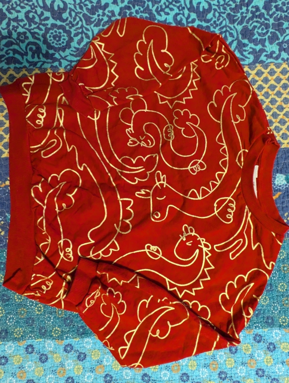H&M Red Dragon Sweatshirt Size 6/7